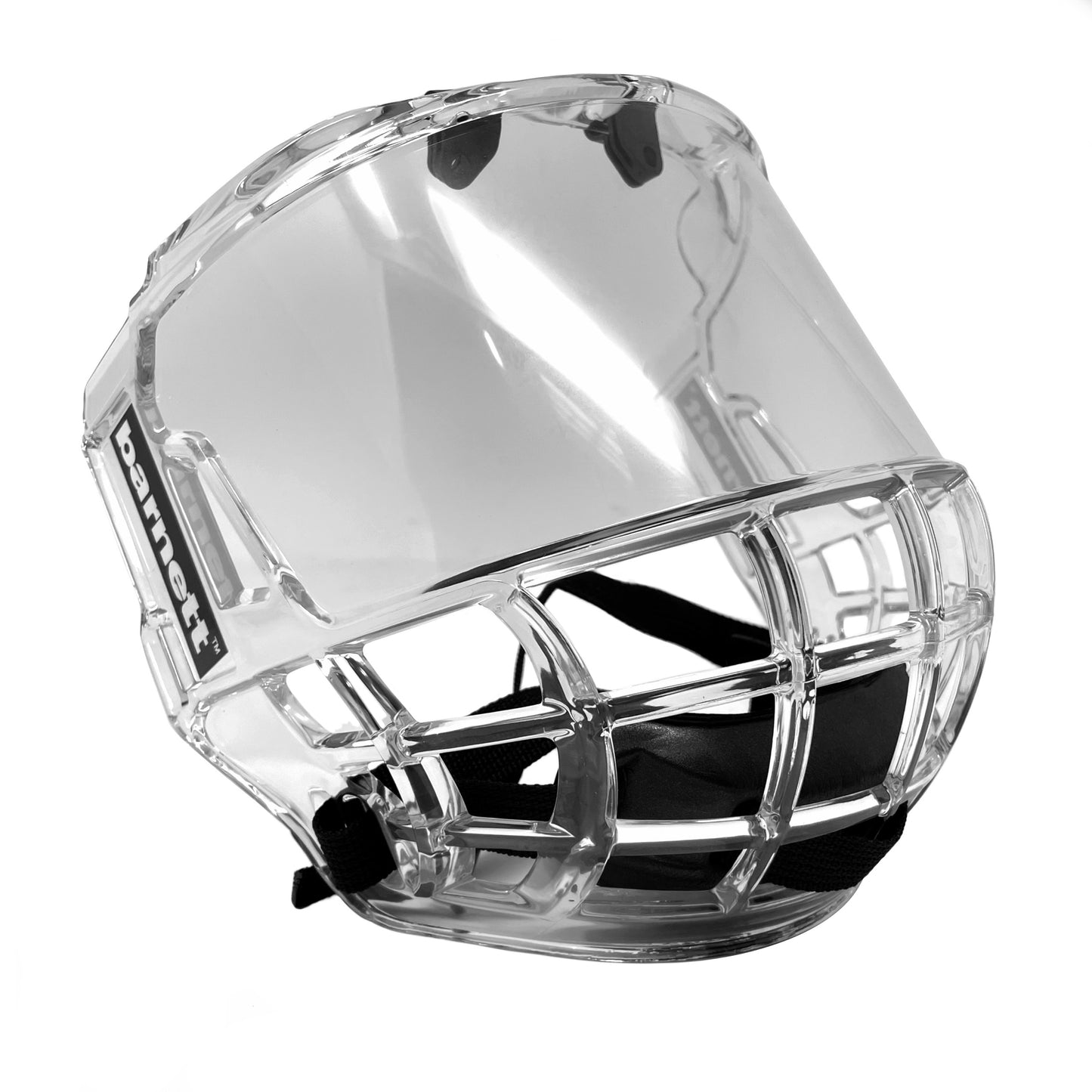 FV100 Visor pro hokej