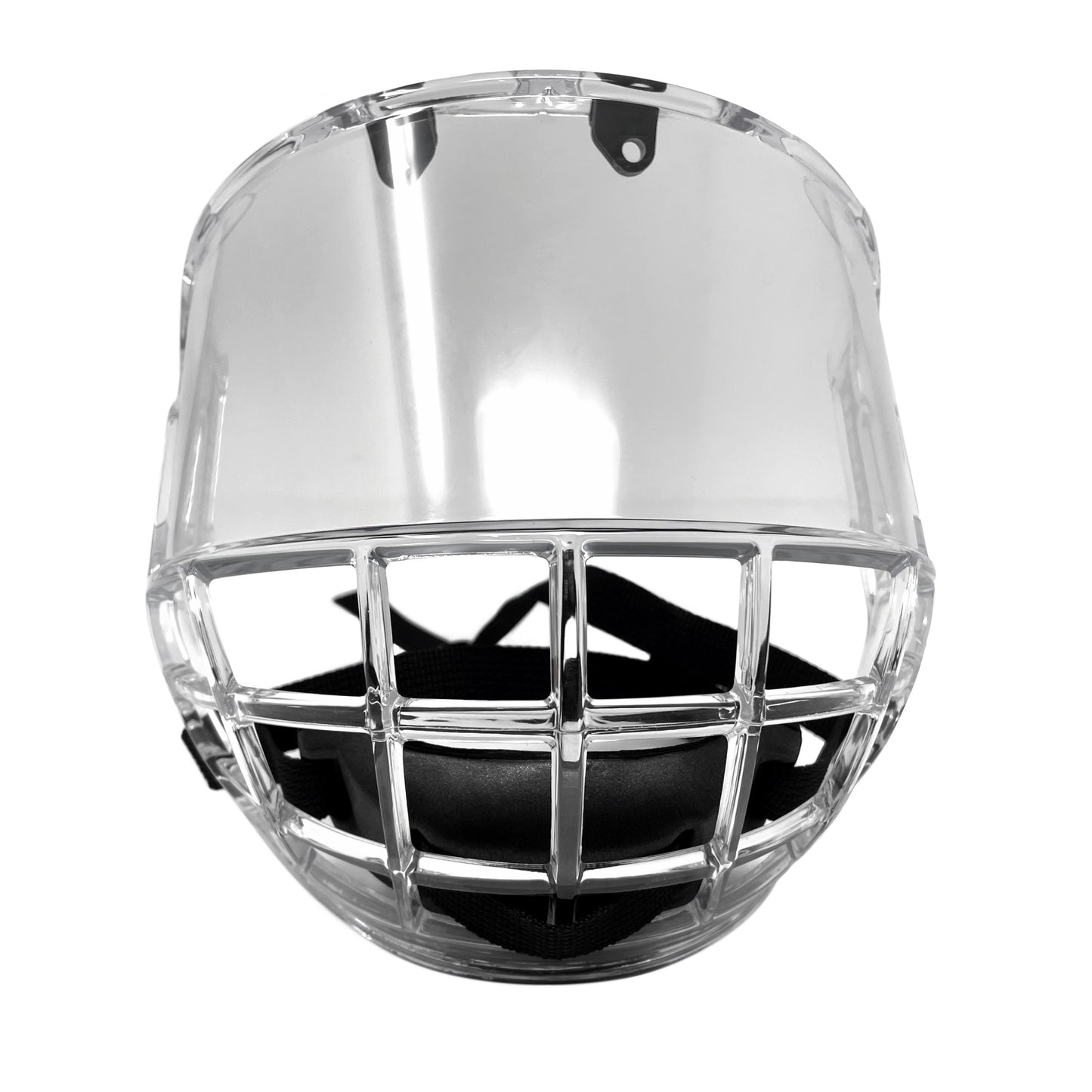 FV100 Visor pro hokej